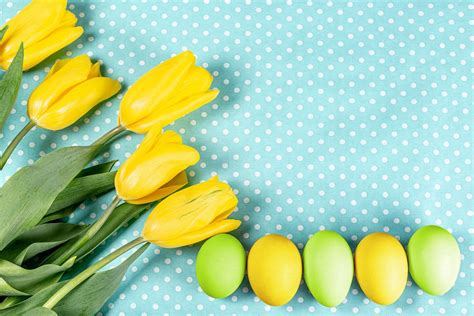 Easter Eggs With Yellow Tulips On Blue Background Creative Commons Bilder
