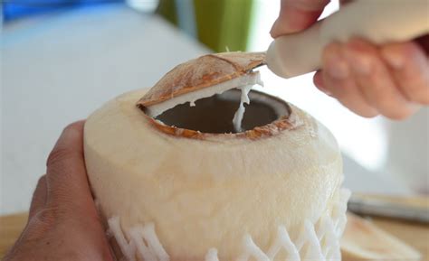 How To Easily Open A Young Coconut Modern Tiki