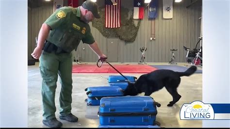 Red Ribbon Week With The Us Border Patrol K9 Unit Youtube