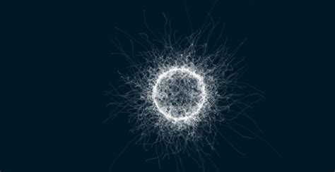 As the neural part of while neural networks (also called perceptrons) have been around since the 1940s, it is only in the. Neural Networks