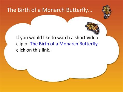 monarch butterflies show ppt