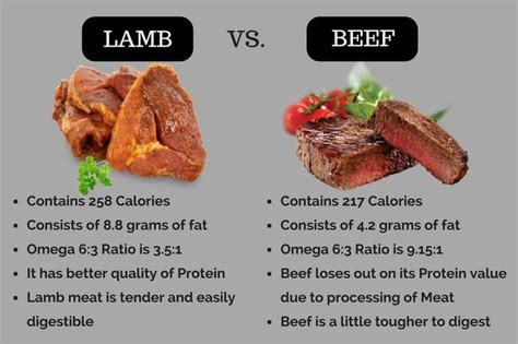 Lamb Vs Beef Complete Comparison Of Nutrition Benefits Taste