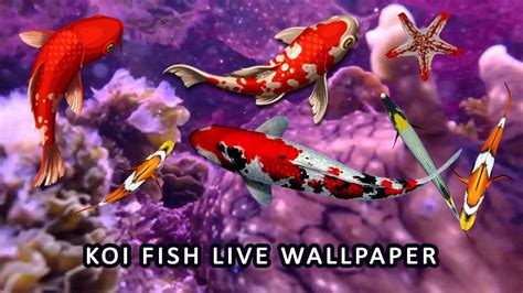 Koi Fish Wallpaper 3d Water Fish Screensaver 3d Apk For Android Download