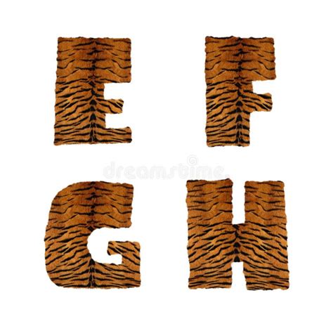 Tiger Fur Alphabet Letters E H Stock Illustration Illustration Of