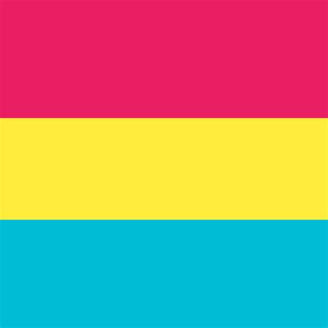 Pansexual people may be described as being gender blind showing that gender is not a factor in their attraction to a person. Pixilart - Pansexual Pride Flag by Isorib