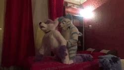 Cock Riding Gif M F Yiff Furries Pictures Luscious Hentai And My Xxx
