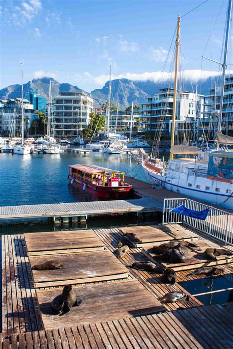 Kapstadt, cape town, western cape. Kapstadt - Komm mit auf unsere Reise EinJahrAfrika!