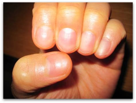 How To Play Guitar Chords: A Beginner's Guide