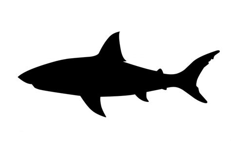 Shark Silhouette Free Stock Photo By Mohamed Hassan On