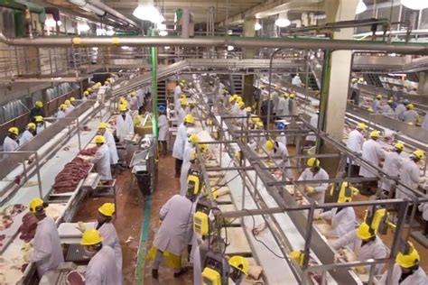 Testing programs are administered by provincial and territorial health authorities. As meat plant infections rise, Canada lets packers choose ...