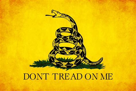 Check Out This New Gadsden Flag Which Will Be Featured In Firmament