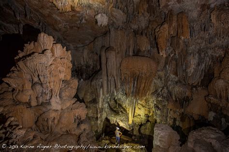 Belize Crystal Cave Tour Inland Blue Hole Jungle Wildlife Hiking