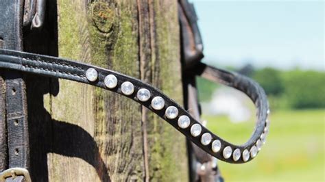 Browband All Crystal Luxury Bling Your Horse