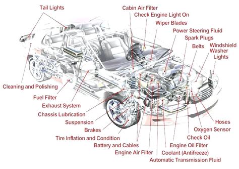 Parts Of Car Body Diagram