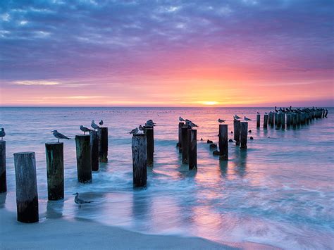 Sunset Naples The Old Pier Fort Myers United States Of