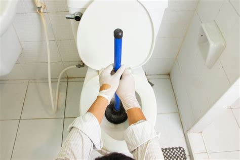 How To Unclog A Toilet—fast Miracle Plumbing