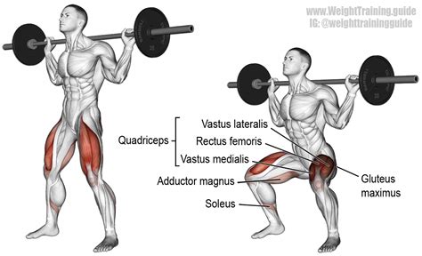 Do The Squats Squats Barbell Squat Squat Workout Fitness Training