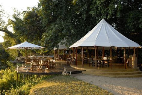 Sausage Tree Camp Unique Luxury Accommodation Venture To Zambia