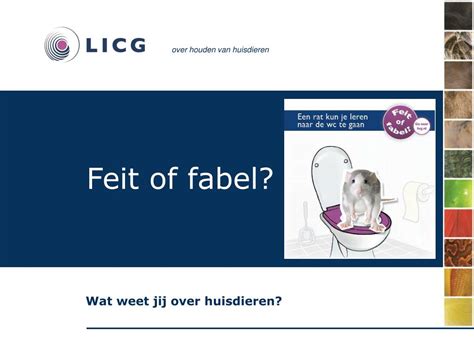 Ppt Feit Of Fabel Powerpoint Presentation Free Download Id4193287