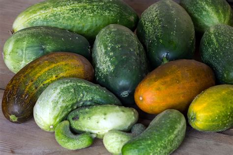 Free Images Fruit Food Produce Vegetable Vegetables Cucumbers