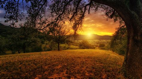 2048x1152 Tree Sun Aesthetic Dawn Landscape Panorama 2048x1152