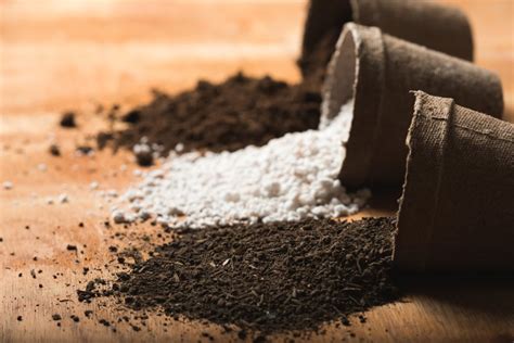 Potting Soil 101 How To Choose The Right Potting Mix For 41 Off