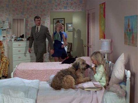 The Dark Incestuous Side Of The Brady Bunch Including Dog Collars And