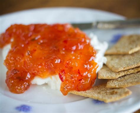 Cream Cheese And Pepper Jelly Dip Recipes Thriftyfun
