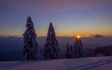 Download 2560x1600 Wallpaper Trees Landscape Sunset Winter Clean Sky Dual Wide Widescreen