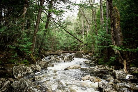 Free Images Tree Nature Waterfall Creek Wilderness Wood Trail