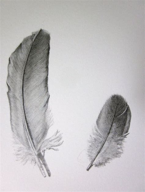 Pencil Feathers When I Looked At It I Thought About Old Movies In