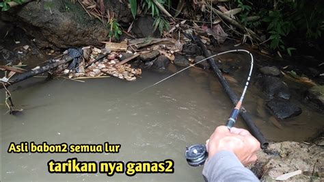 Mancing Ikan Wader Di Sungai Kecil Pas Di Bawah Batu Cadas Sambarannya
