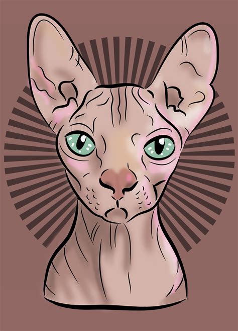 1 Free Cartoon Sphynx Cat And Sphynx Cat Images Pixabay