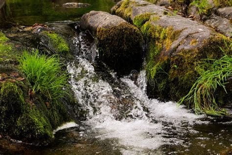 The Little Waterfall In The Middle Of The Moss Stock Photo Image Of