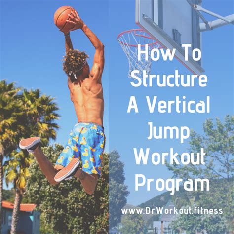 Systematic Program To Increase Vertical Jump Fast Dr Workout