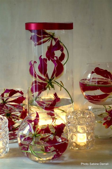 We did not find results for: 7-savvy-wedding-flowers-for-a-small-budget-Gloriosa-lily ...