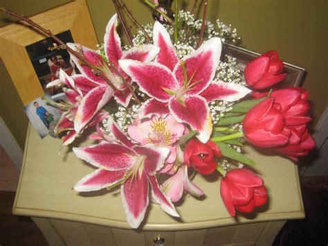 Lifestyle Counseling of Bloomington | Bloomington MN