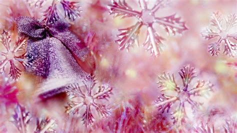 You will definitely choose from a huge number of pictures that option that will suit you exactly! Pink Christmas Backgrounds - Wallpaper Cave
