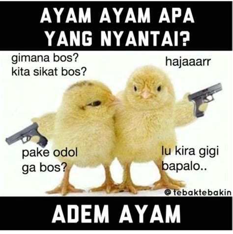 15 Meme Lucu 'Tebak-tebakan Receh' Ini Kocaknya Unfaedah Banget