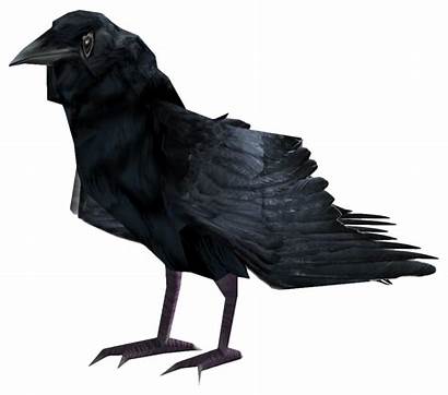 Kruk Transparent Raven Fallout Flying Wikia Wiki