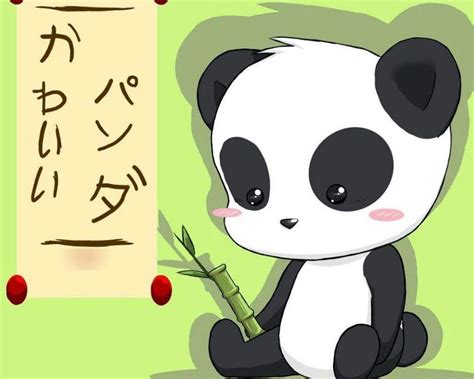 Pandas Kawaii Anime Amino