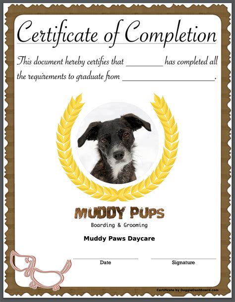 Doggiedashboard Certificates Of Completion