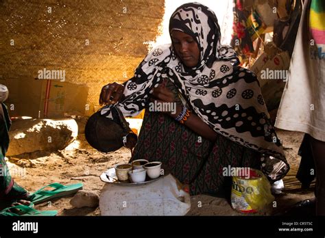 Young Afar Woman Serving Traditional Ethiopian Coffee Village Of Hamed