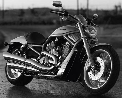 Harley Davidson Vrscaw V Rod
