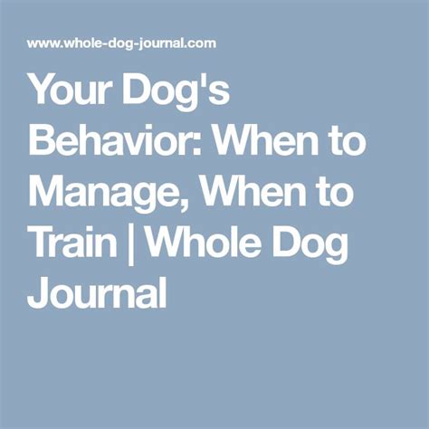 The Words Your Dogs Behavior When To Manage When To Train I Whole Dog