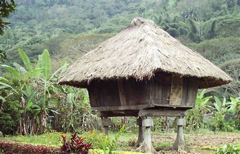 La Maison Traditionnelle Ifugao