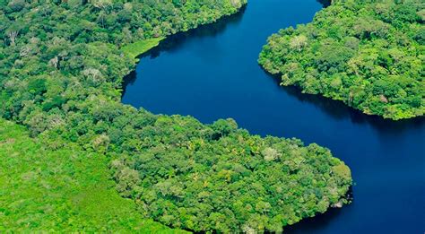 Why Cruise The Bolivian Amazon Amazon Trip Amazon Cruises