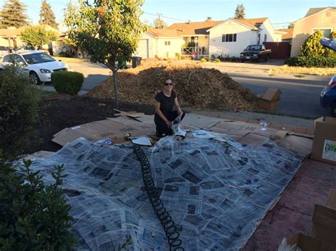 If you put down enough mulch, soon enough, it will smother the grass and kill it, and you can rake back the mulch and dig holes and transplant tomatoes and peppers and such directly into the soil. I decided to put a layer of cardboard and newspaper down ...