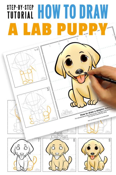 Easy Step By Step Cute Puppy Drawing Craft Mart