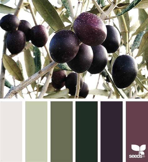 Olive Color Color Palette Design Design Seeds Olive Color